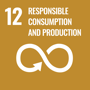 SDG 12: Consumo e produção responsáveis
