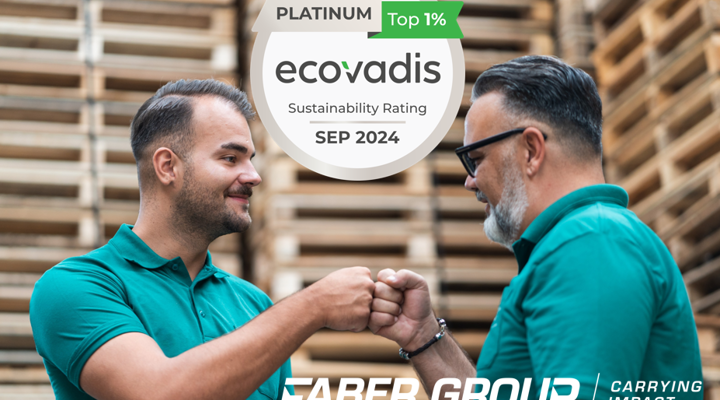 Ecovadis 2024 Visual Faber Group