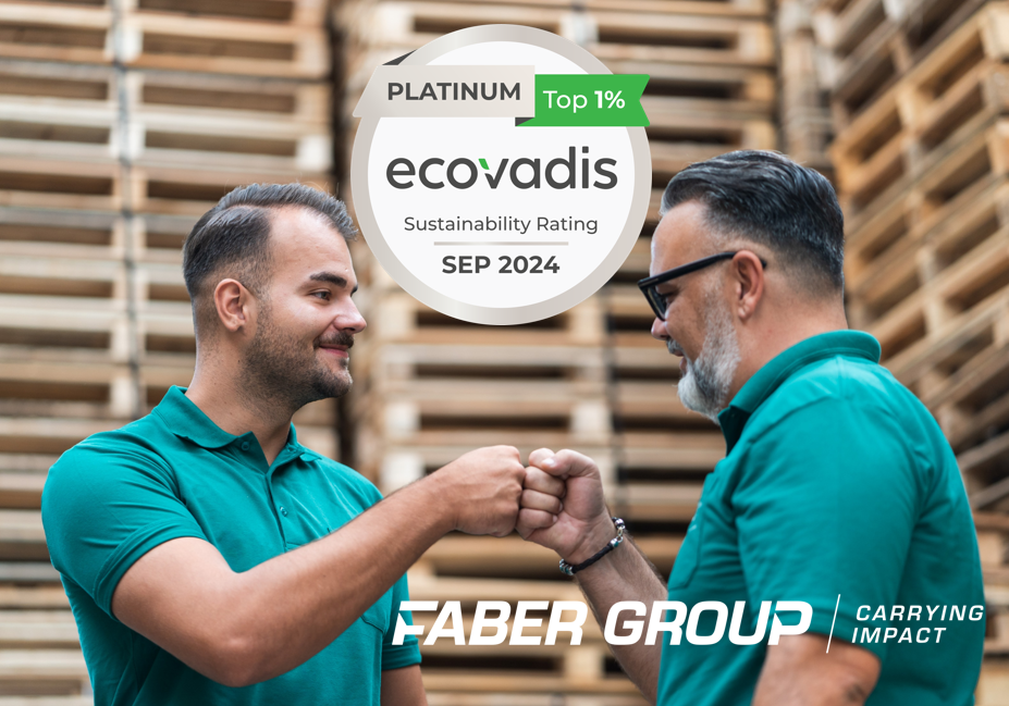 Ecovadis 2024 Visual Faber Group